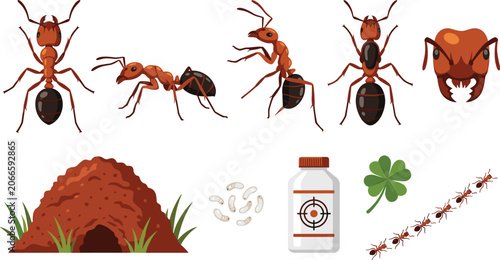 Ant Insect Vector Illustration Featuring Detailed Anatomy, Ant Hill, Eggs, Trail, Clover Leaf, and Pest Control Bottle