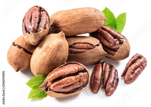 Pecan nuts with open pecans isolated on a white background, representing organic healthy food and natural ingredients. Clipping path