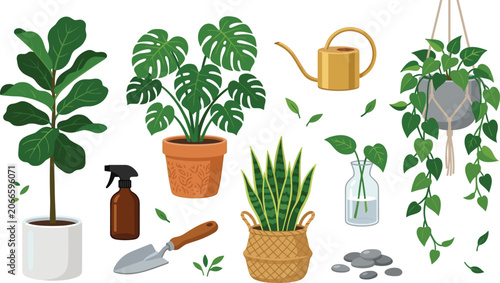 Indoor Houseplant Illustration Set with Fiddle Leaf Fig, Monstera, Snake Plant, Hanging Pothos, Watering Can, and Home Gardening Elements