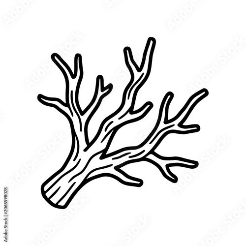 Black and white coral branch drawing.