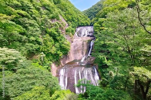 茨城県・袋田の滝。初夏の爽やかな新緑と、四段に流れ落ちる雄大な滝の絶景、日本の観光名所。