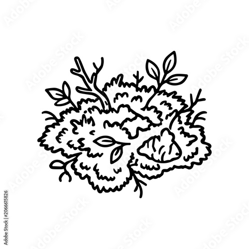 Foto Detailed illustration of a mushroom.