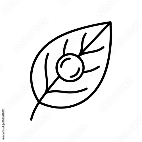 Simple Line Drawing of a Leaf.