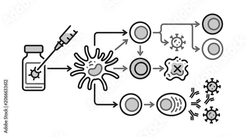 Foto Syringe vial and immune activation process graphic