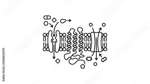 Cuadro en lienzo Cell membrane protein transport molecular icon illustration