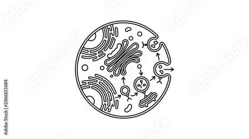 Konstfotografi Cell vesicle transport and exocytosis mechanism icon.