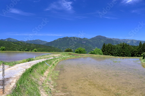 天空の棚田を歩く　高知県本山町