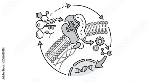 Tableau sur toile Molecular ligand receptor binding biological process illustration