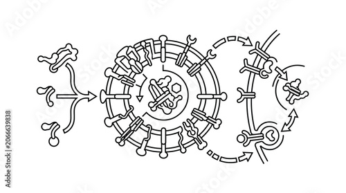 Fotografía Molecular structure interacting with cell membrane receptors diagram