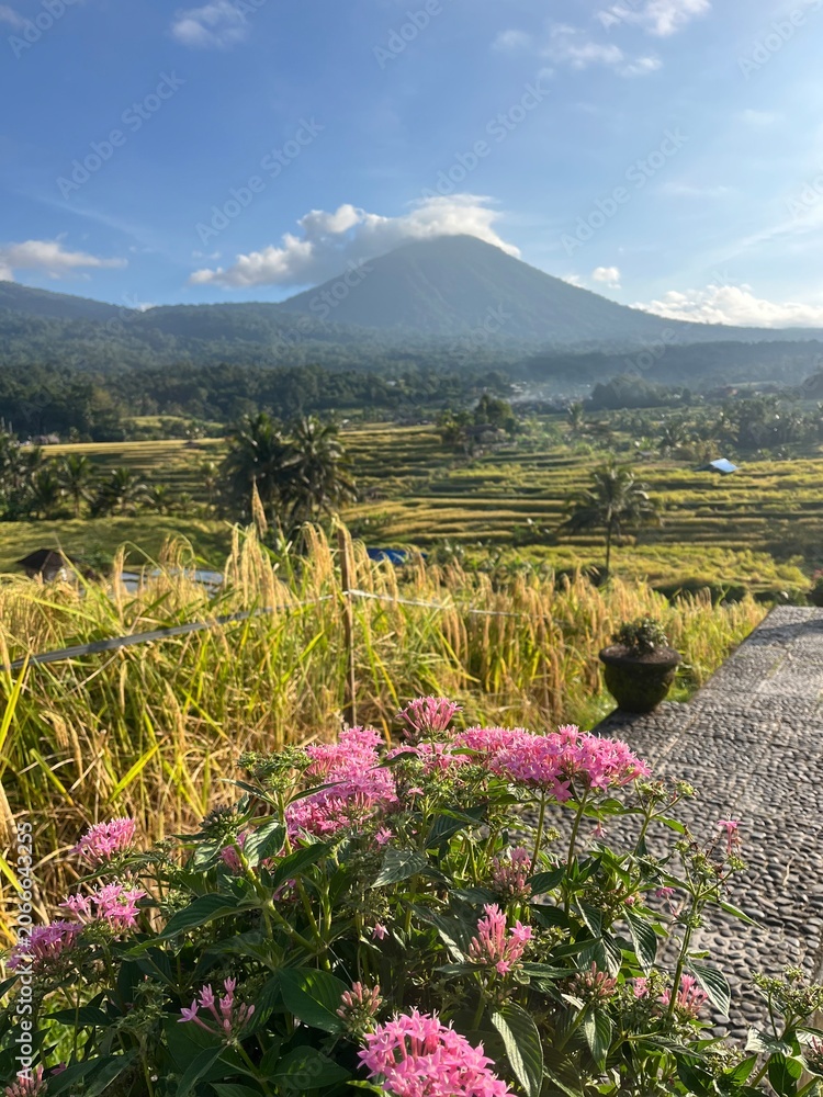 Fototapeta premium A breathtaking panoramic view of the magnificent Jatiluwih rice terraces in Bali, showcasing the intricate traditional Subak irrigation system and lush green layers casca