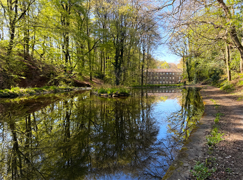 A peaceful forest with lush green trees mirrored in a still pond, under a clear blue sky that enhances the tranquil charm of Hewenden, Cullingworth, UK.