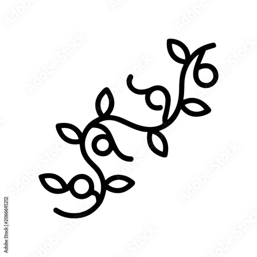 Black line art leafy vine branch.
