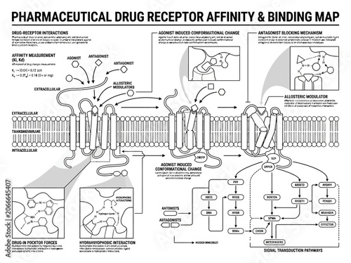 Fotografie Detailed pharmaceutical drug receptor affinity and binding map