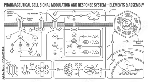 Tableau sur toile Cellular signal modulation and response elements diagram.