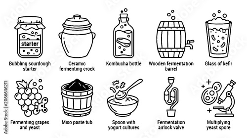Fermentation process icons set featuring sourdough starter kombucha kefir and miso paste line art.
