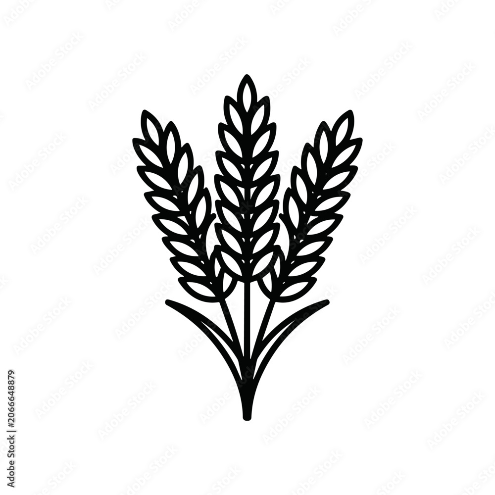 Fototapeta premium Wheat plant illustration in black color.