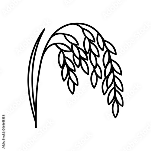 Detailed drawing of rice plant.