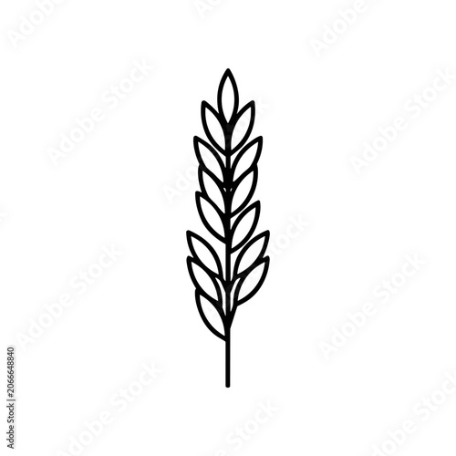 Wheat plant line art illustration.