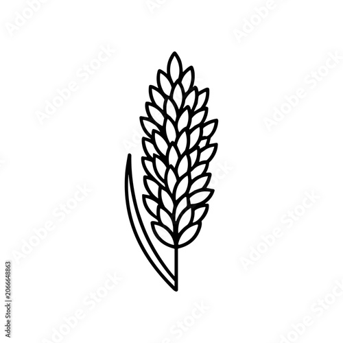 Wheat Grain Icon Black Line Art.