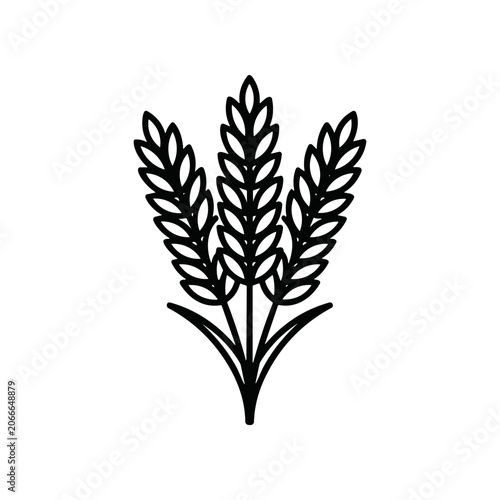 Wheat plant illustration in black color.