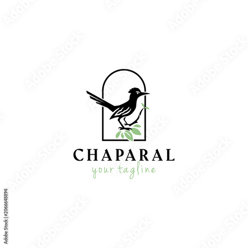 Chaparal Bird vector logo design