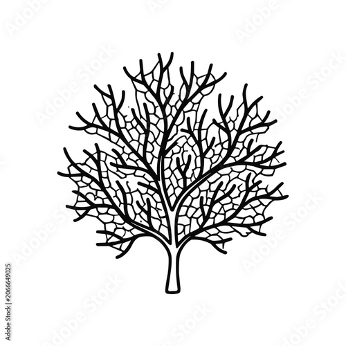 Coral Reef Marine Life Illustration.