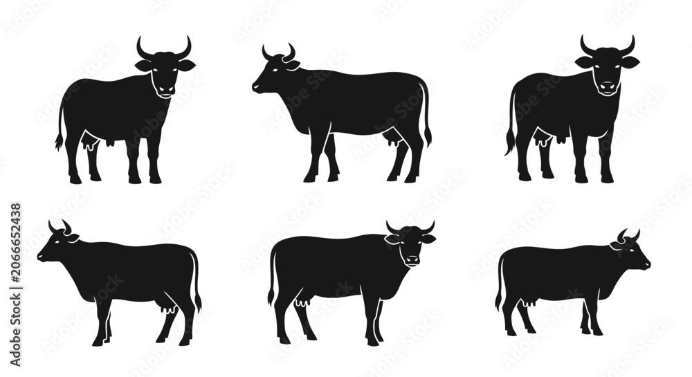 Fototapeta premium Set of six black cow silhouettes isolated on white background