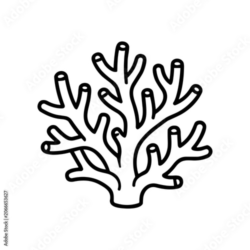 Coral Reef Marine Life Illustration 2.