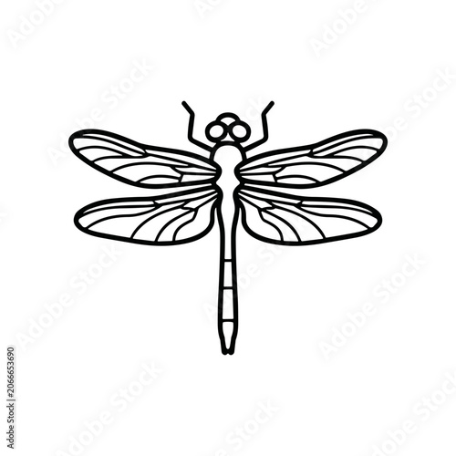Detailed dragonfly with spread wings drawing.