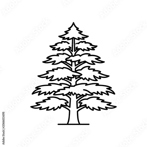 Detailed Drawing of a Pine Tree.