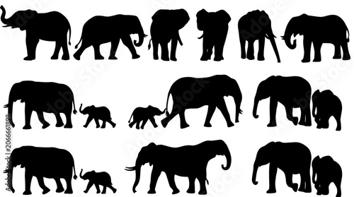 Silhouette of multiple elephants walking in various directions