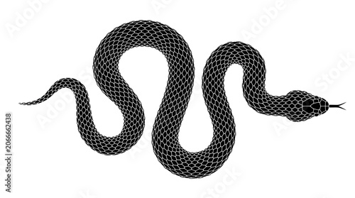 Snake illustration in stippling style on white background
