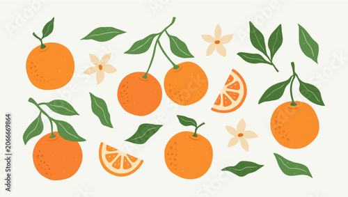 Obraz na plátně Hand drawn doodle set of orange fruits and flowers