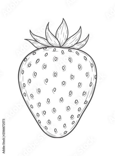 Hand drawn of a single strawberry with seeds and green leaves fruit food outline