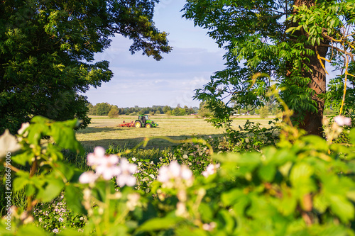 Heuwenden im Spreewald