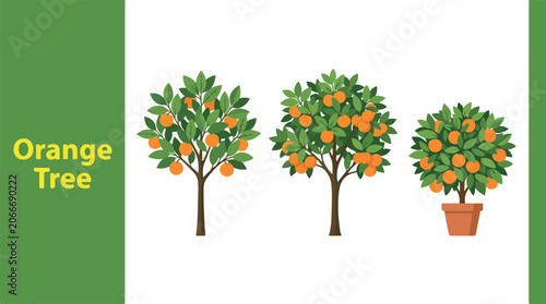Slika na platnu Illustration of orange trees with fruits in different settings