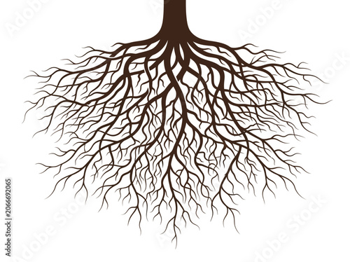 Bild auf Leinwand A detailed illustration of a tree's extensive root system sprawls across the landscape