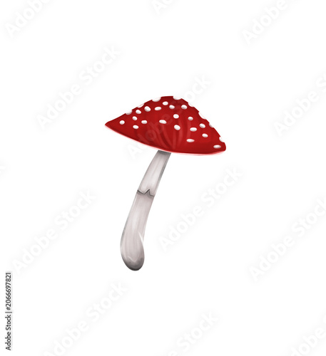 Konstfotografi fly agaric mushroom