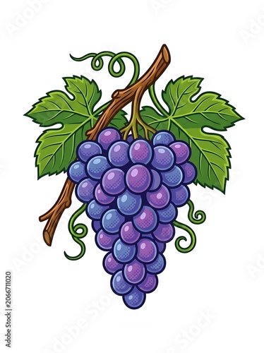 Whimsical cartoon owl perched on grapevine cluster.