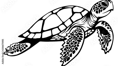 Black and white sea turtle swimming underwater illustration minimalist line art