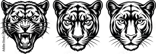 Black Panther and Puma Head Vector Mascot Set with Angry Roaring Wild Cat Faces for Sports Team Logos, T-Shirt Prints, and Apparel Graphic DesignsBlack Panther and Puma Head Vector Mascot Set with Ang