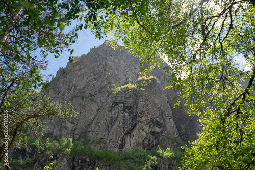Massive rocky mountain cliff framed by green tree branches under blue sky. High mountain ridge and lush green trees on a sunny summer day, travel concept.