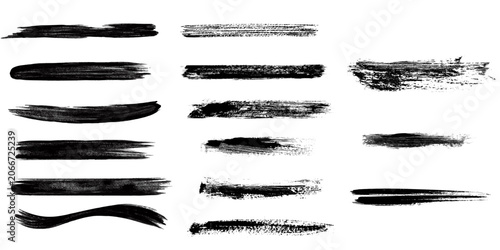 Photos Beautiful Brush vector collection