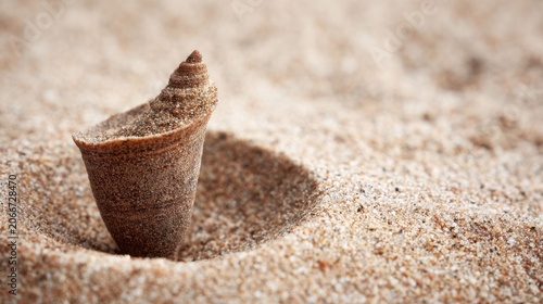 A solitary antlion larva's conical pit dug in fine sand, a stealthy predator waiting for prey.