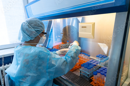 Konstfotografi Scientist Handling Biological Samples in Biosafety Laboratory Cabinet