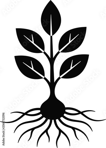 Black silhouette of a growing plant with leaves and roots isolated on white background vector illustration