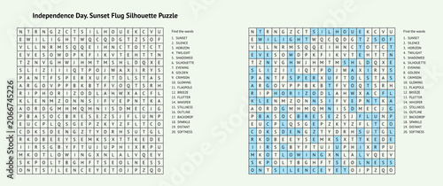Independence Day puzzle featuring word search and flag design  