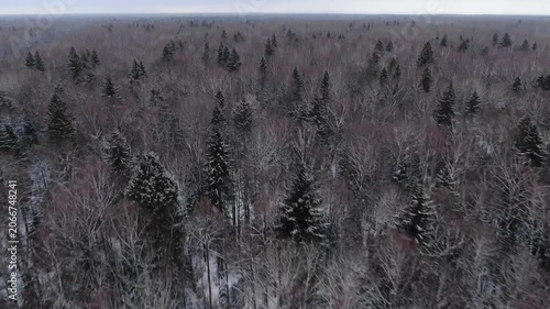Forward drone flight rotating above woodland