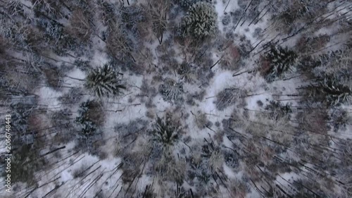 Drone flying backward with downward view over forest