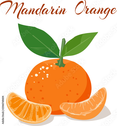 Obraz na plátně Bright tangerine on a transparent background
